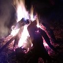 ���� ��������, ��������, 38 ��� - ��������� 13 ���� 2014 � ������ ���� ����������