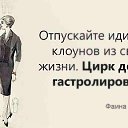 ���� �������, �������, 47 ��� - ��������� 24 ��� 2014 � ������ ���� ����������