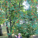 ������ � ���������