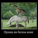 ���� ��������, ������� - ��������� 18 ����� 2014 � ������ �������