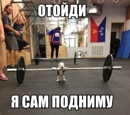 SportFeed - 5  2014  16:01