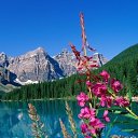 ���� �������, ������, 37 ��� - ��������� 8 ������ 2014 � ������ ������ ��������