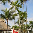 ���� ������, ������, 50 ��� - ��������� 1 ������ 2014 � ������ ���� ����������