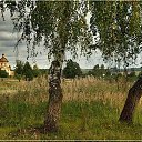 ���� ������, ������, 50 ��� - ��������� 8 ������� 2014 � ������ ������ ��������