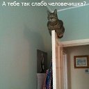 ���� � �, ����, 62 ���� - ��������� 6 ���� 2014 � ������ ���� ����������