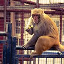 ���� ����, ����, 40 ��� - ��������� 14 ������ 2014 � ������ ��� �����������