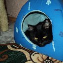 ��� ���� �� ������� ������ ��������