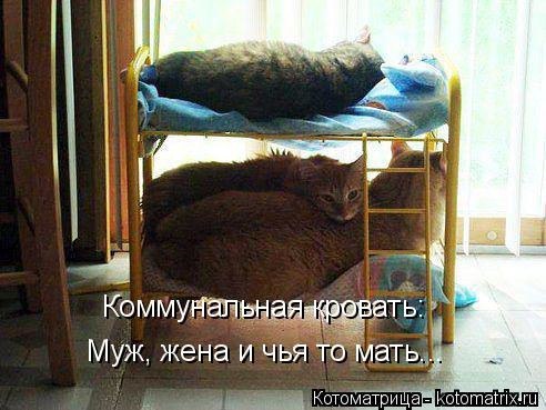    -  ,     ( ,  ...).