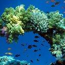 ���� ���������� ��������, ���������� �����, 57 ��� - ��������� 21 ����� 2014 � ������ ���� ����������