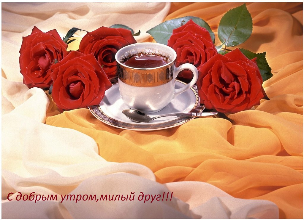    ,   -,  , - ,   ...