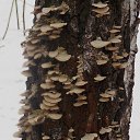 ���� ��������, ��������, 57 ��� - ��������� 24 ����� 2014 � ������ ������� ���2014�