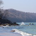  , -, 59  -  31  2014   ............