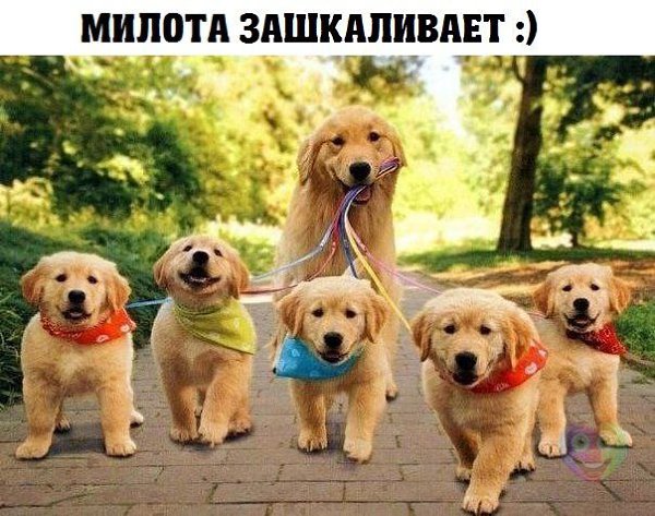 Art & Fun - 1  2014  22:02
