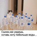 ���� ����, �����-���������, 34 ���� - ��������� 21 ���� 2014 � ������ ������ ��������