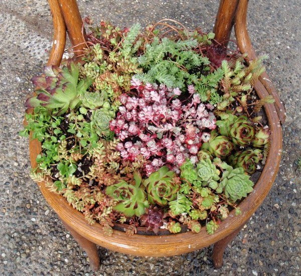 ������ �� ������ ������� - 2