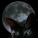 ���� ����, ������, 67 ��� - ��������� 8 ������ 2014 � ������ ������ ��������