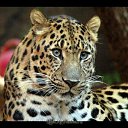 ���� �������, �����-���������, 62 ���� - ��������� 17 ���� 2014 � ������ ������ ��������