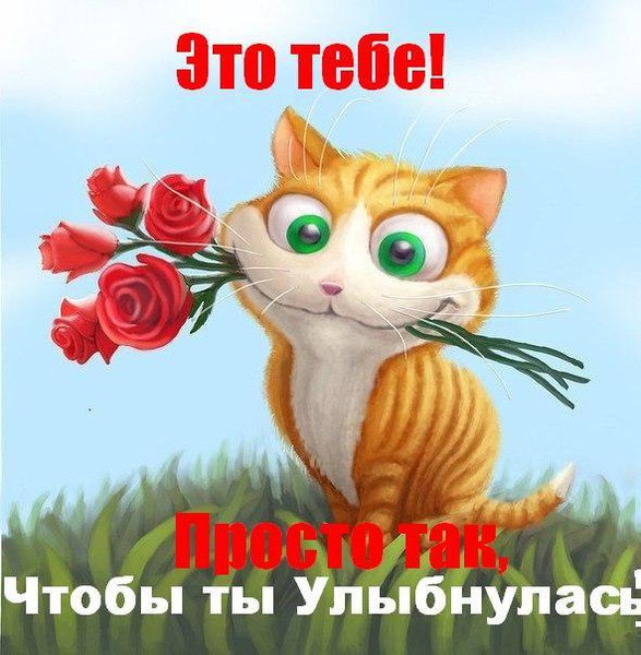 (  ,   - 1  2014  07:45