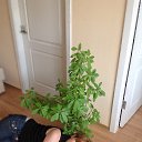 ���� ����, ���������� - ��������� 11 ��� 2014 � ������ ���� ����������