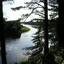     ,  -  31  2014    .  .