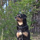 ���� ������, ���������, 53 ���� - ��������� 13 ���� 2014 � ������ �������