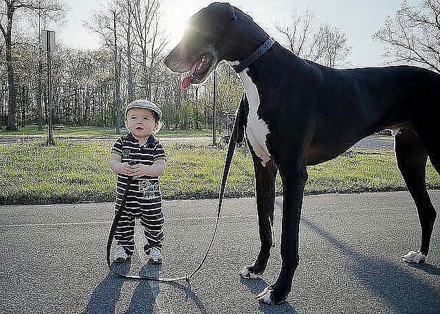     !!!   )))