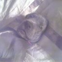 ���� ������, ����, 43 ���� - ��������� 8 ��� 2014 � ������ ���� ����������