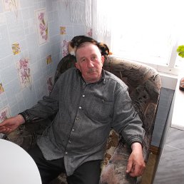 ����, �������������, 65 ���