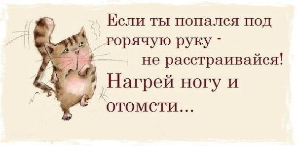  ( ) - 11  2014  03:30