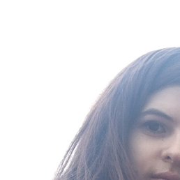 �����, �������, 37 ���