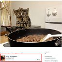 ���� ������, ����� - ��������� 7 ������ 2014 � ������ ���� ����������