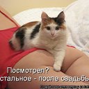 ���� ������, ������������, 50 ��� - ��������� 12 ��� 2014 � ������ ������ ��������