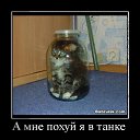 ���� Nikolay, �����-���������, 47 ��� - ��������� 19 ������� 2014 � ������ ������ ��������