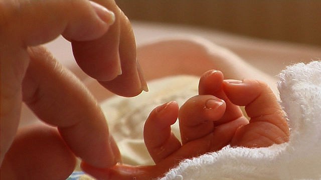    ,    ,       .   ,   ...