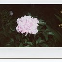���� ������, ���������, 39 ��� - ��������� 11 ������� 2014 � ������ �FujifilmInstax�