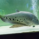  , , 46  -  24  2014      &quot; &quot;