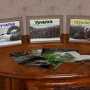  Marina,  -  16  2014    