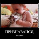 ���� �������, �������� - ��������� 28 ��� 2014 � ������ ������ ��������
