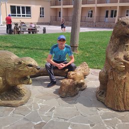 �������, �������, 44 ����