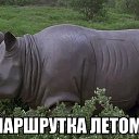 ���� ����, �������, 43 ���� - ��������� 5 ���� 2014 � ������ ������ ��������