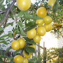 ���� ����, �������� - ��������� 3 ������� 2014 � ������ ������ ��������