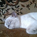 ���� ���������, �����-���������, 47 ��� - ��������� 10 ������� 2014 � ������ ���� �����