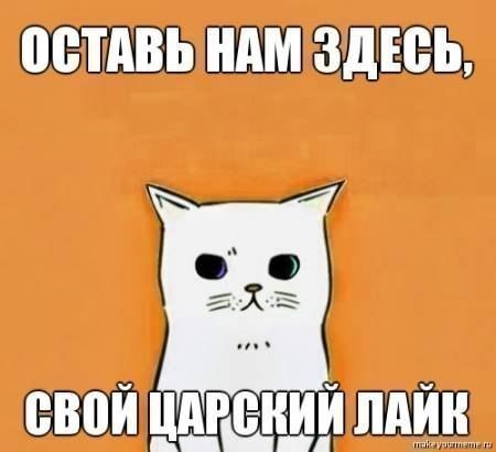 /zev/null - 4  2014  19:19