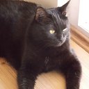 ���� �����, �������, 67 ��� - ��������� 8 ���� 2014 � ������ ���� ����������