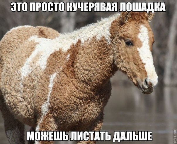    :D - 11  2014  17:03