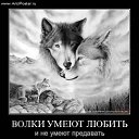 ���� ***** ����, ������, 44 ���� - ��������� 15 ���� 2014 � ������ ������ ��������