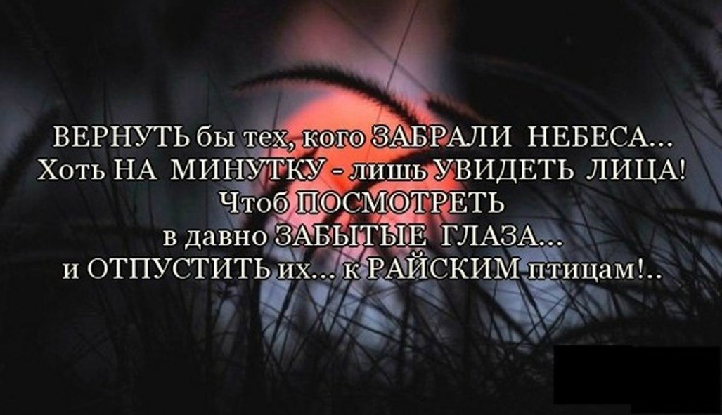 ���� - 3 ���� 2014 � 00:15