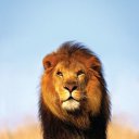 ���� �����, ������, 56 ��� - ��������� 5 ��� 2014 � ������ ���� ����������