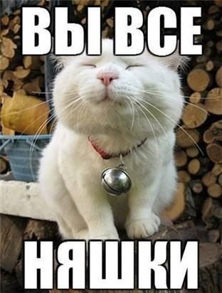   https://fotostrana.ru/away?to=/sl/qd2