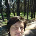 ���� ����, ��������� - ��������� 8 ��� 2014 � ������ ��������� 2014�